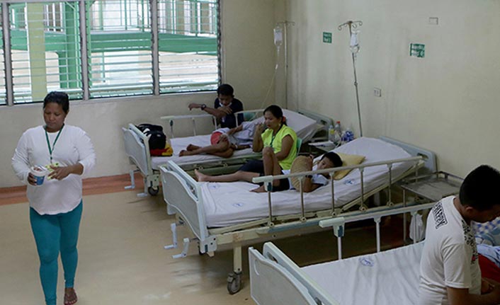 Dang humması salgını: 456 ölü