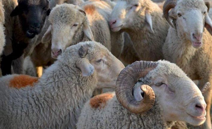 2019 Kurban Bayramı ne zaman? Kurban Bayramı tatili kaç gün olacak?