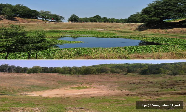 Doğa harikası göl kurudu