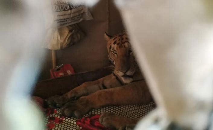 Selden kaçarken girdiği evde 10 saat uyudu!