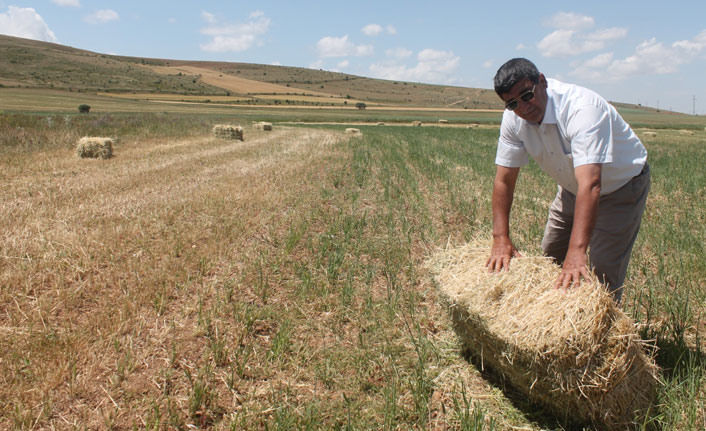 Yem bitkisinde rekolte düşüşü | Bayburt Haberleri