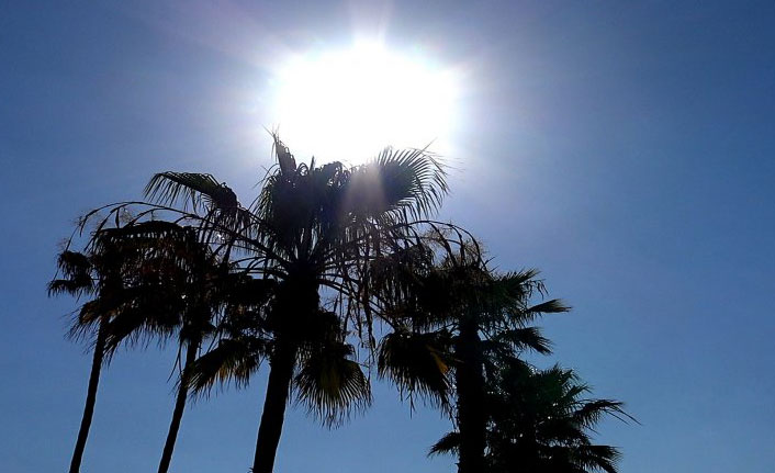 ABD sıcaktan kavruluyor, New York’ta acil durum ilan edildi