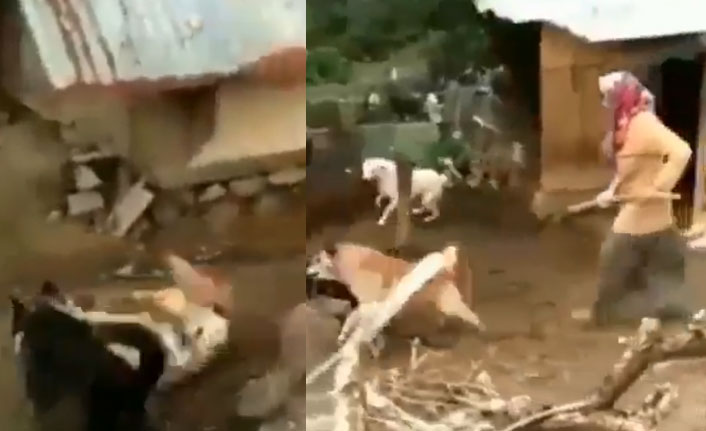 O görüntülere para cezası