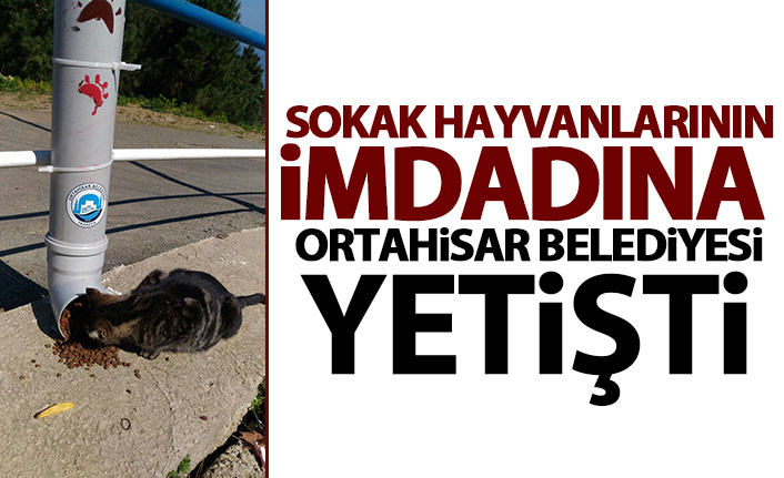 Trabzon'da Sokak hayvanları için suluk ve yemlik