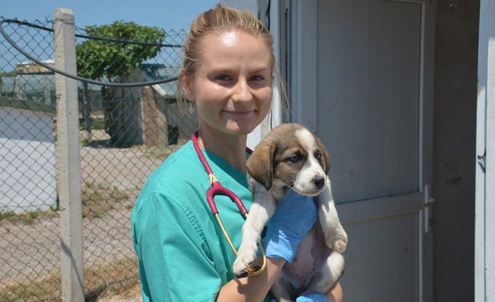 Finlandiyalı Heidi Sinop'ta sokak hayvanlarını tedavi ediyor