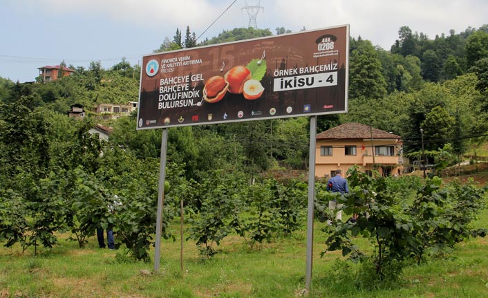 Fındık hasadı başlıyor - Hisarcıklıoğlu Trabzon'da fındık toplayacak
