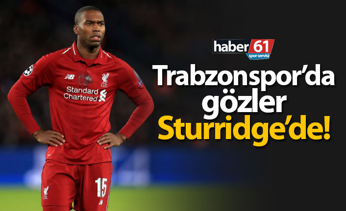 Trabzonspor'da gözler Sturridge'de!
