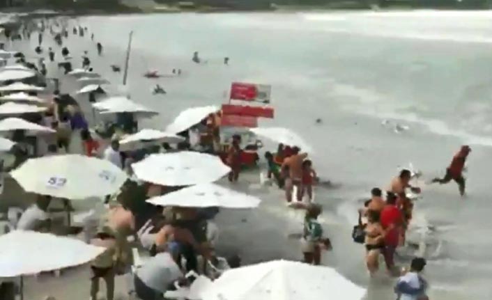 Plajı vuran büyük dalga panik yarattı