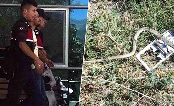 Yılanı vurmak isterken hamile eşini öldürdü