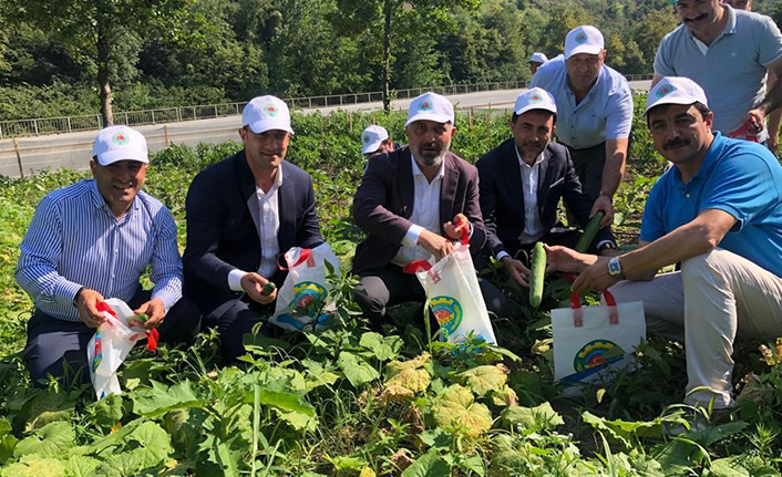 Adnan Günnar'dan Sebze Hasadı