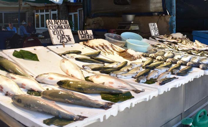 Balıkçıların umudu palamut