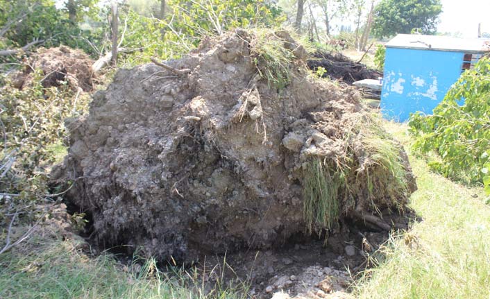 Kırklareli'de hortum korkuttu!