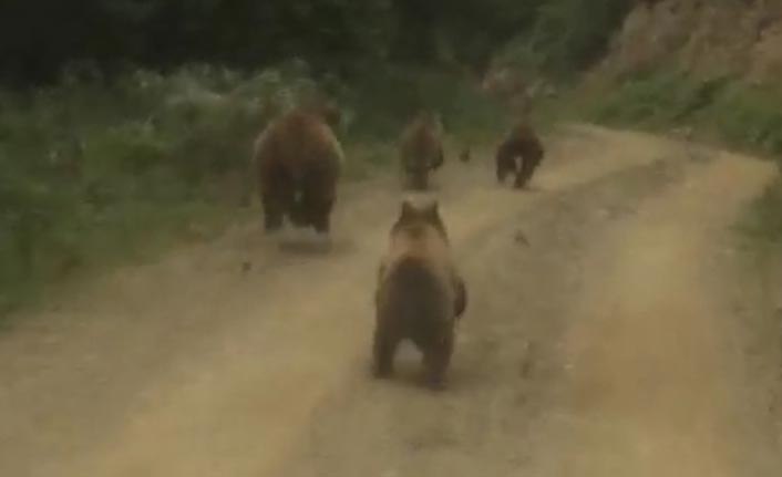 Yayla dönüşü önlerine çıkanı görünce şaşırdılar