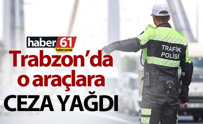 Trabzon’da izinsiz yolcu taşıyan araçlara ceza yağdı