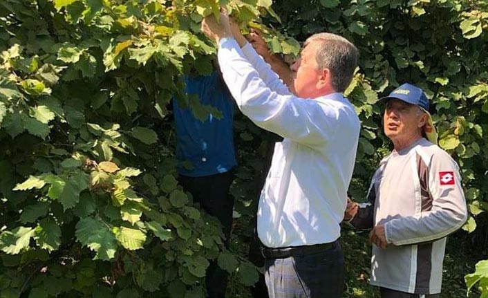 TSİAD'dan Başkan Revi'ye teşekkür