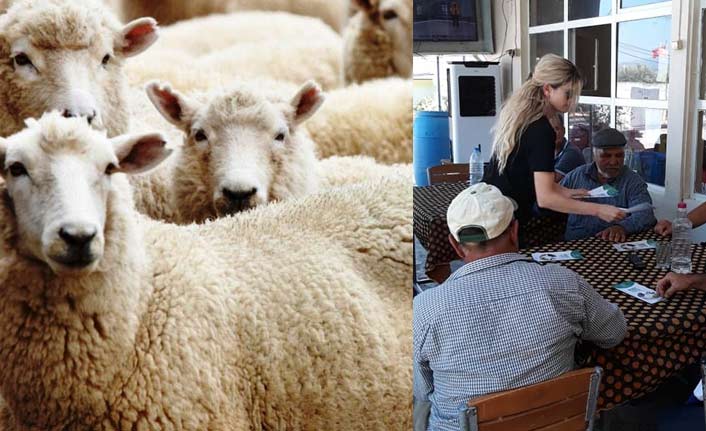 'Kist Hidatik' hastalığına dikkat