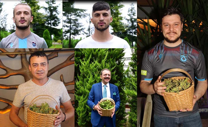 Ünlülerden Trabzon’daki fındık hasadına davet