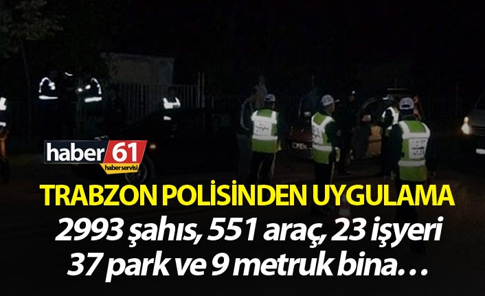 Trabzon polisinden uygulama - 2993 şahıs, 551 araç, 23 işyeri, 37 park ve 9 metruk bina…