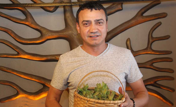 Fındık hasadı için kamera karşısına geçtiler