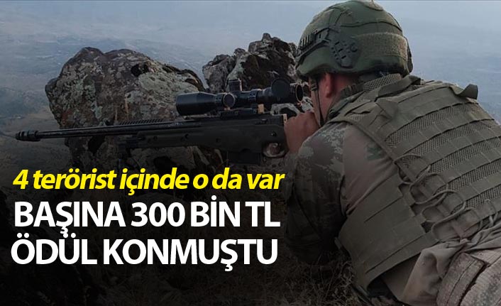 Gri listedeki terörist etkisiz hale getirildi - 07 Ağustos 2019