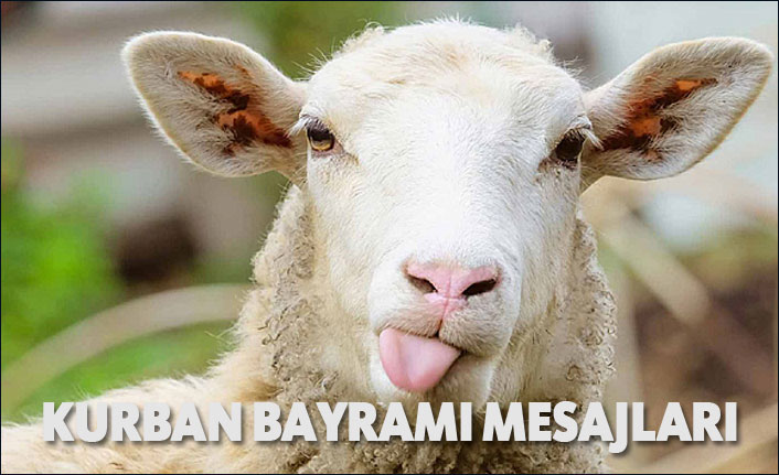 Kurban Bayramı mesajları! En güzel resimli, uzun, kısa Kurban bayramı mesajları!