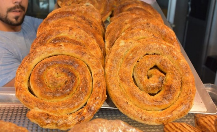 Sinop nokuluna büyük ilgi