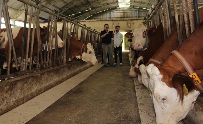 Trabzon'da AB destekli dev tesis