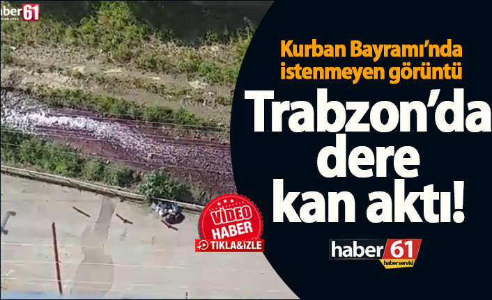 Trabzon’da dere kan aktı – Kurban Bayramında istenmeyen görüntü