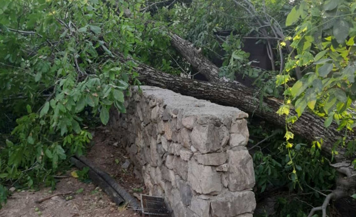 Fırtına hayatı durdurma noktasına getirdi