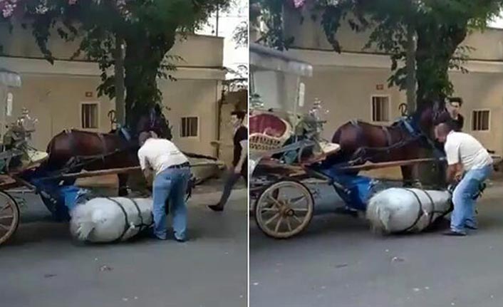 Yorgunluğa dayanamayan at bayıldı