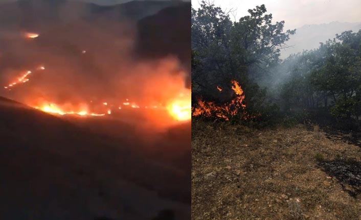 Bayburt'ta orman yangını