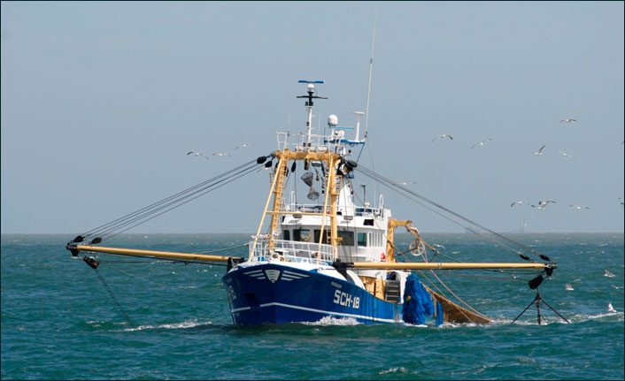 Av yasağı kalkıyor!