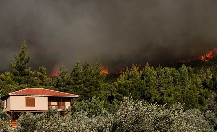 Ege'de 4 ilçede orman yangını