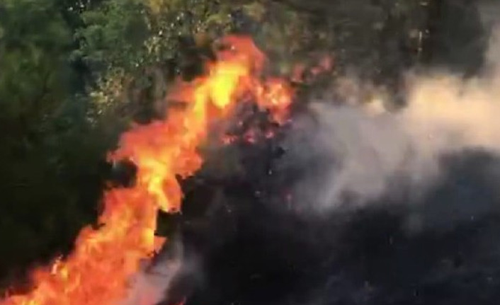 Hatay'da orman yangın korkuttu!