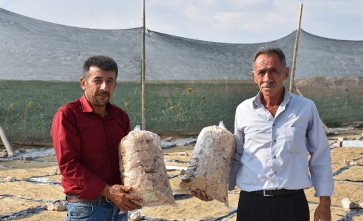 Anadolu’nun meşhur tarhanasından cips