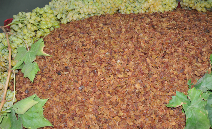 Kuru üzüm 99 ülkeye ihraç edildi