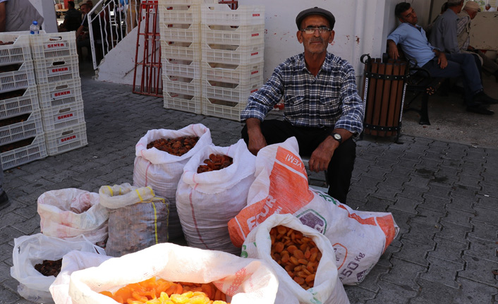 Kayısıda bu yılın mahsulleri pazara inmeye başladı