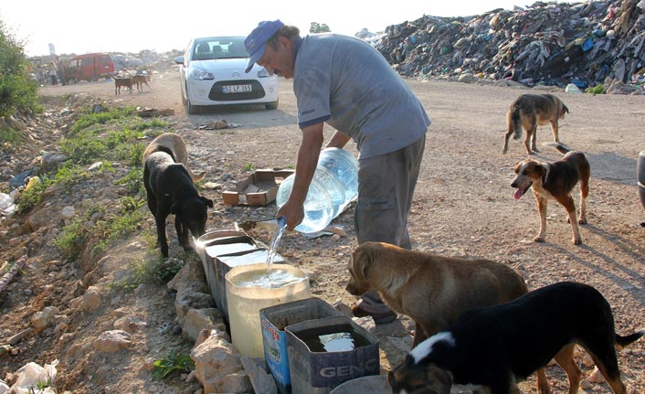 Sokak hayvanları için 11 yıldır su taşıyor