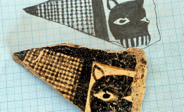 Tam 8 bin yıllık! Domuztepe Höyüğü kazılarında...