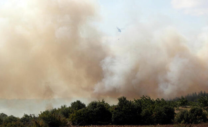 Keşan'da orman yangını