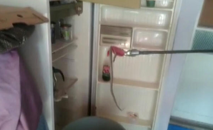 Buzdolabındaki yılan korkuttu