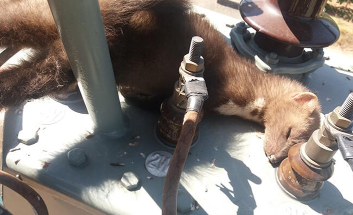 Sansar mahalleyi 2 buçuk saat susuz bıraktı