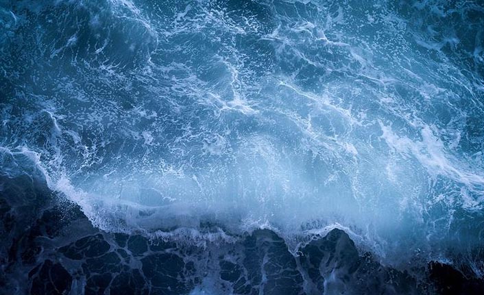 Nesli tükenmekte olan deniz canlılarına uluslararası koruma