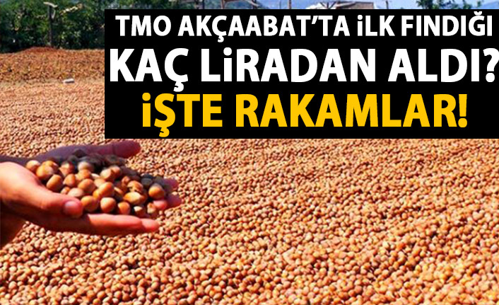 TMO Akçaabat'ta ilk fındığı aldı!