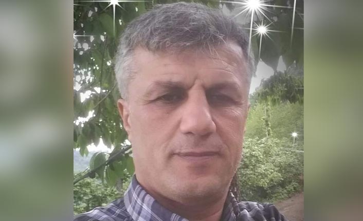 Trabzon'da fındık toplarken kalbine yenildi