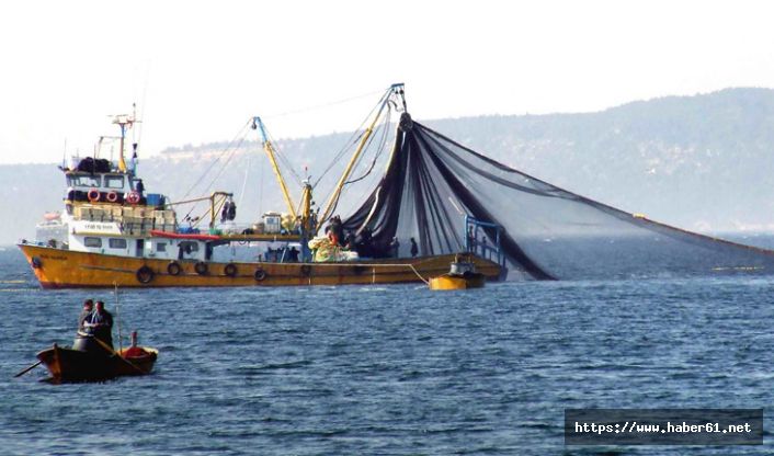 Balıkçılar umutlarını hamsiye bağladı!
