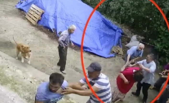 Ordu'da arazi kavgası: 5 yaralı