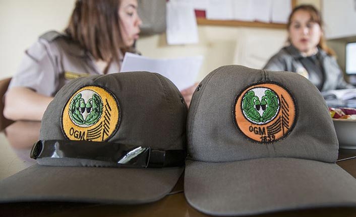 Orman Genel Müdürlüğü 4 bin 996 sözleşmeli personel alacak