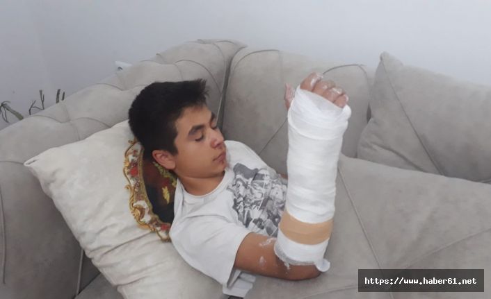Köpeklerin saldırısından kaçan çocuk kolunu kırdı 