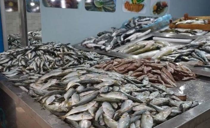 Balıklar tezgahta yerini aldı!